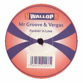 Mr Groove & Vergas - Forever In Love