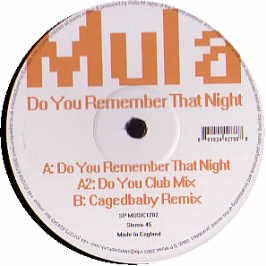 Mula - Do You Remember That Night