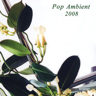 Pop Ambient 2008 - Various