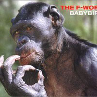 Babybird - The F-Word