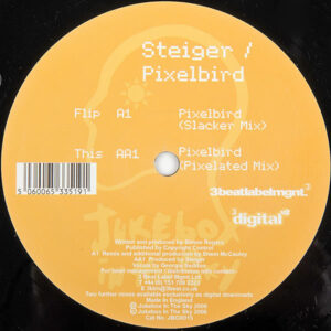 Steiger - Pixelbird