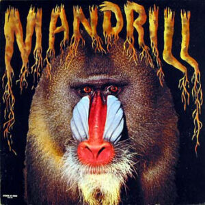 Mandrill - Mandrill