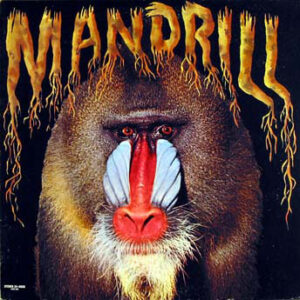 Mandrill - Mandrill