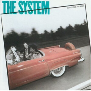 System, The - Don't Disturb This Groove