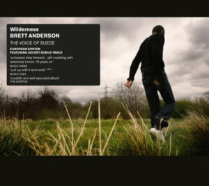 Brett Anderson - Wilderness