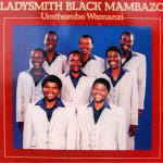 Ladysmith Black Mambazo - Umthombo Wamanzi