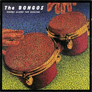 Bongos, The - Drums Along The Hudson