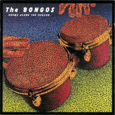Bongos, The - Drums Along The Hudson