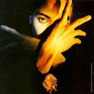 Terence Trent D'Arby - Terence Trent D'Arby's Neither Fish Nor Flesh: A Soundtrack Of Love, Faith, Hope, And Destruction