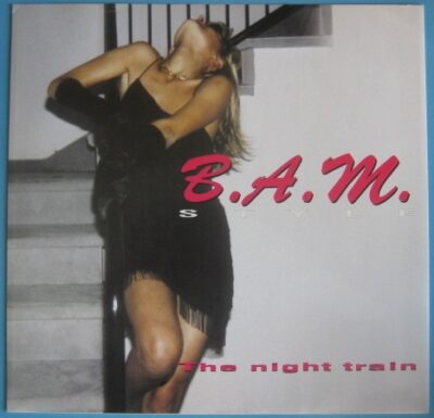 B.A.M. Style - The Night Train