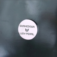 Shakedown vs. Lucy Pearl - Don't Mess With My Man At Night