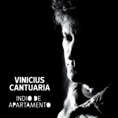 Vinicius Cantuária - Indio De Apartamento