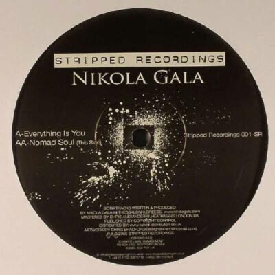 Nikola Gala - Everything Is You