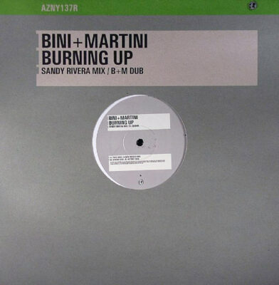 Bini + Martini - Burning Up