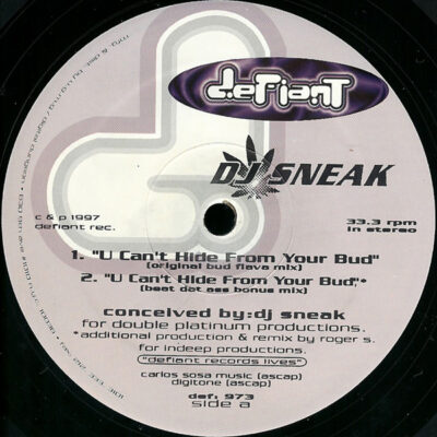 DJ Sneak - U Can't Hide From Your Bud