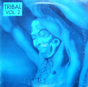 Various - Tribal Africanism Vol. 2