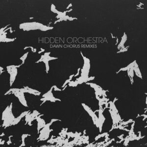 Hidden Orchestra ‎– Dawn Chorus Remixes