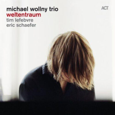 Michael Wollny Trio ‎– Weltentraum